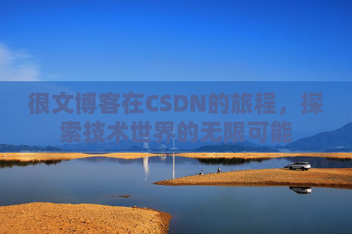 很文博客在CSDN的旅程,探索技术世界的无限可能